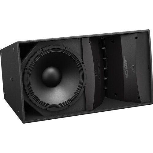ArenaMatch AM20/80 Outdoor Loudspeaker