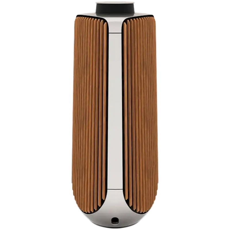 BeoLab 50  S