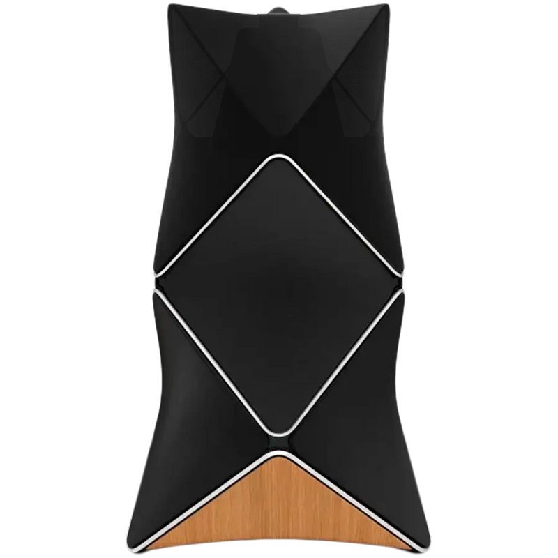 BeoLab 90 US; WiFi 1; Primary
