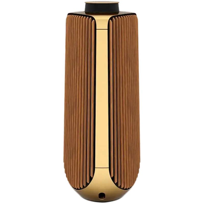 BeoLab 50  S