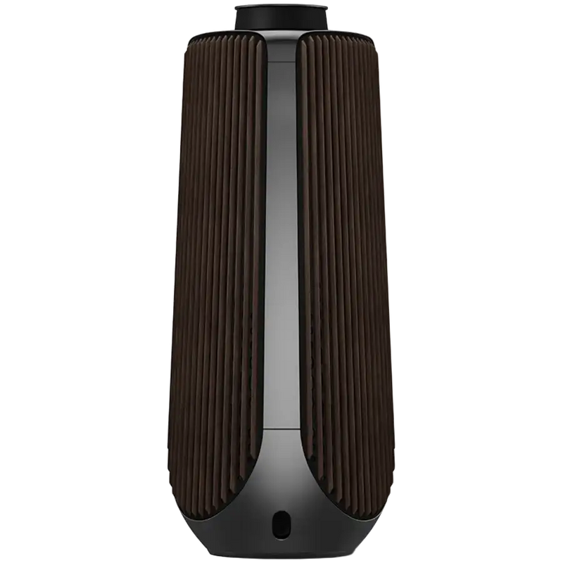 BeoLab 50  S