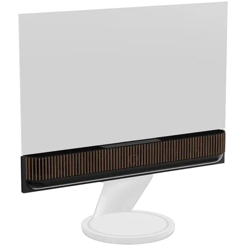Beosound Theatre  55