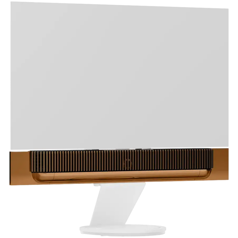 Beosound Theatre 65
