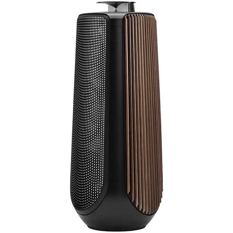 BeoLab 50  S