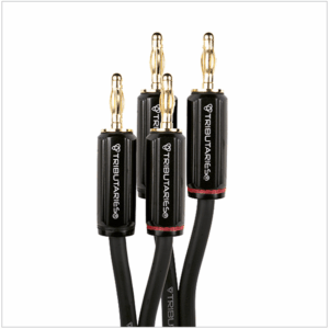 4SP14-B-10-FEET