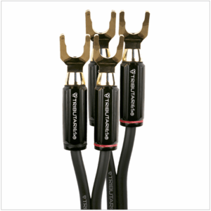 4SP14-L-10-FEET