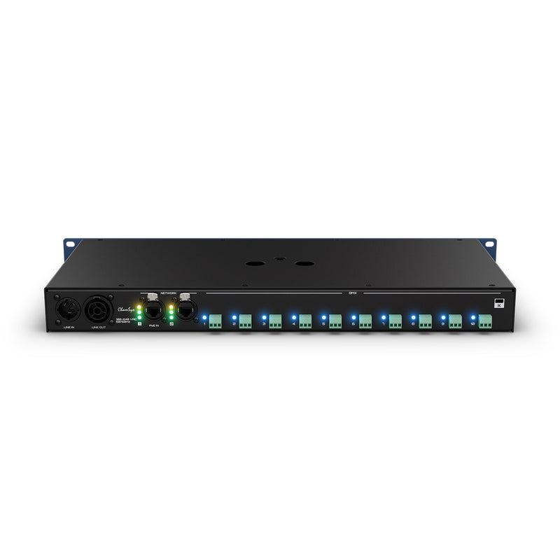 CS300199