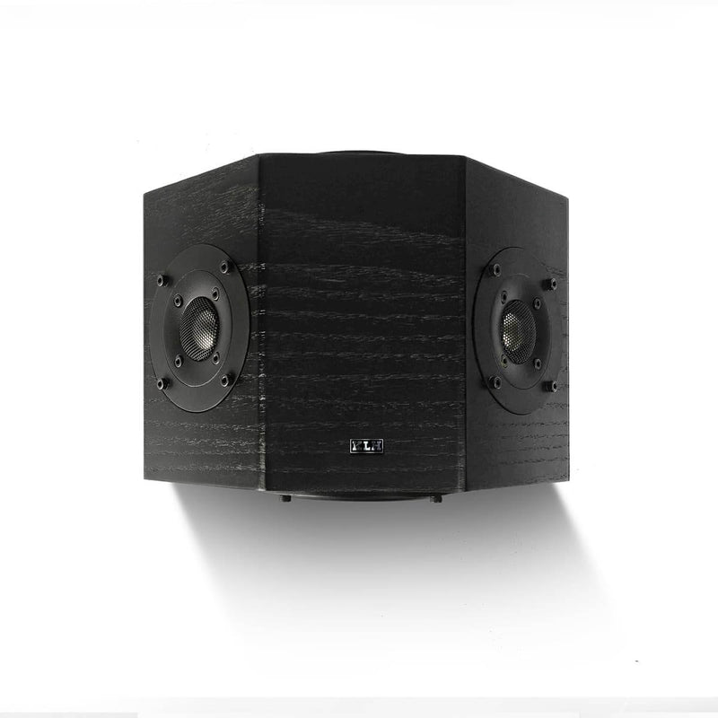Kendall 2S Surround Sound Speaker