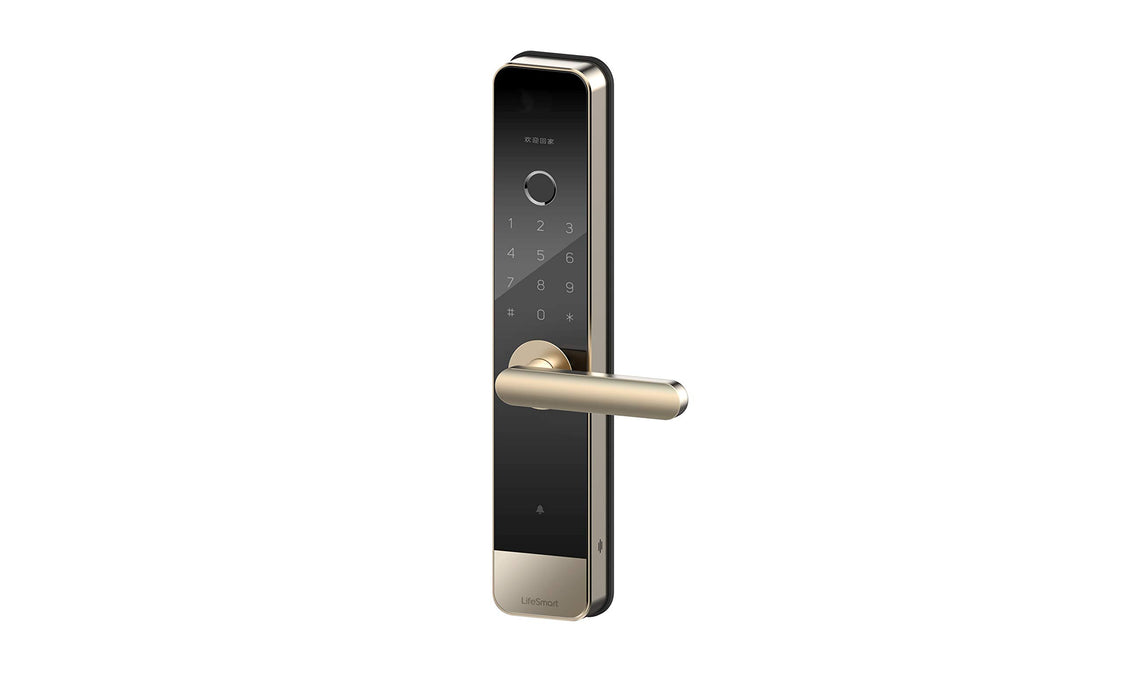 LS099GD(Video Smart Door Lock)