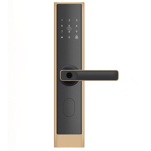 Smart Door Lock C200_Golden(30 hook - Wooden door)