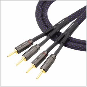 6SP-B-12-FEET