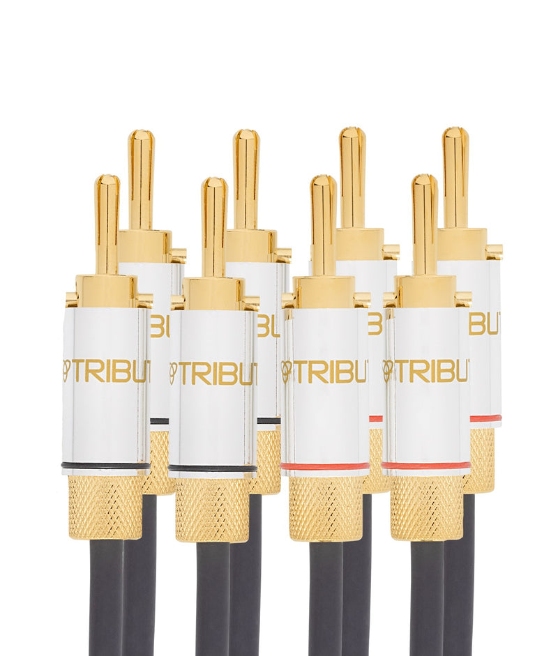 8BA-B-4-FEET