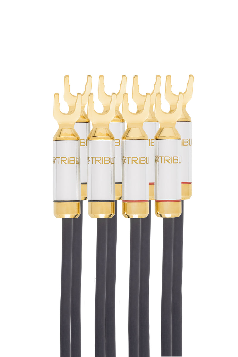 8BA-L-6-FEET