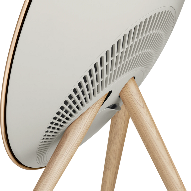 Beosound A9 5.G B