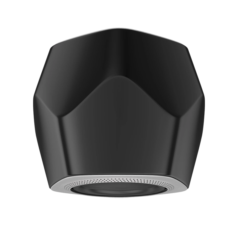 BeoLab 19 AL2