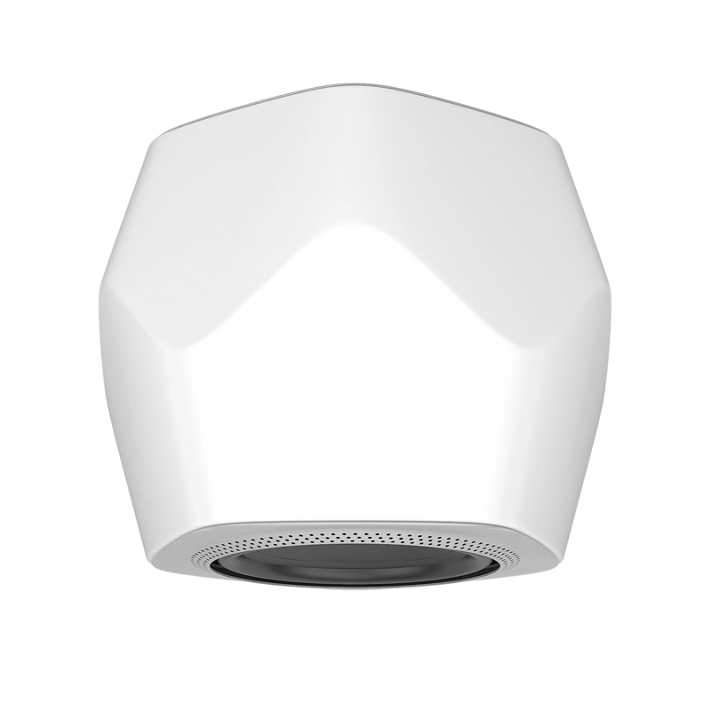 BeoLab 19 AL2