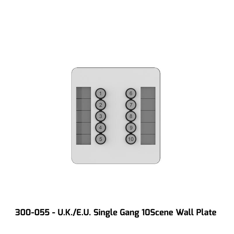 CS300055