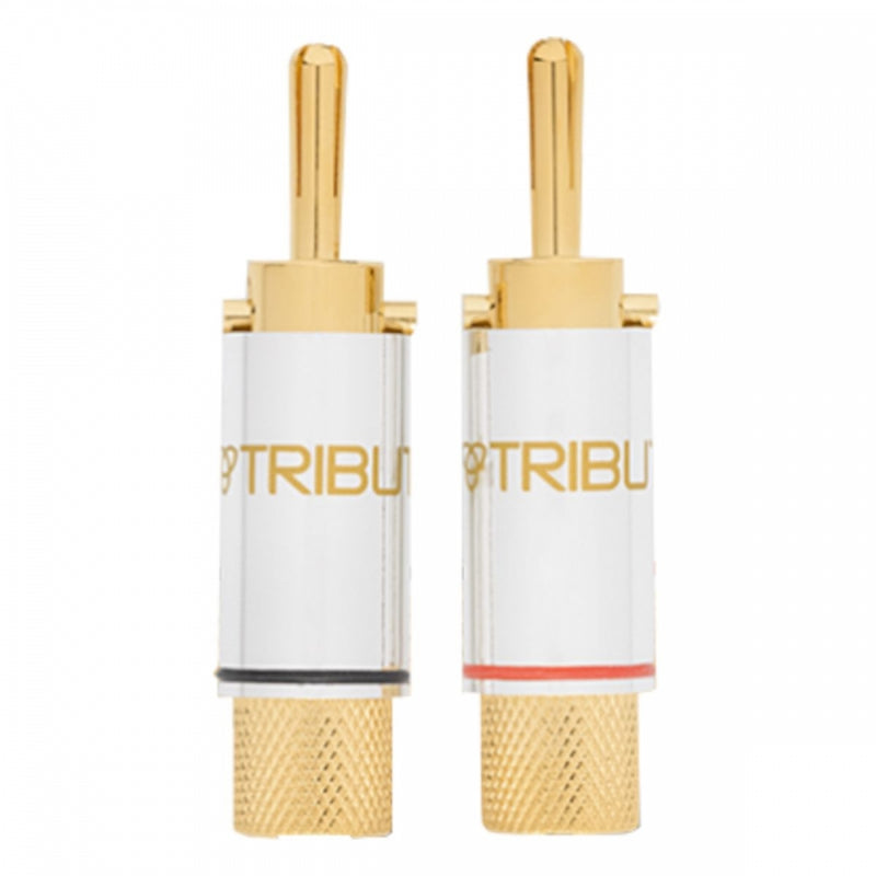 CON-8BP-1-PAIR-BAG
