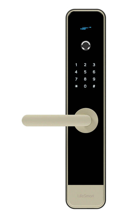 LS099GD(Video Smart Door Lock)