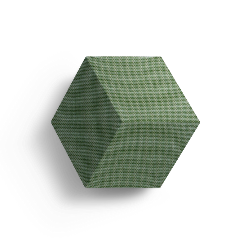 1607227 BeoSound Shape meadow green define