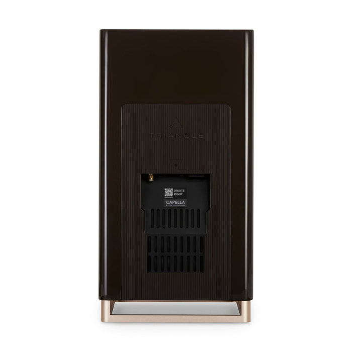 CAPELLA NEBULA BROWN