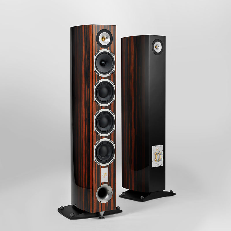 QUATUOR 40th ZEBRANO
