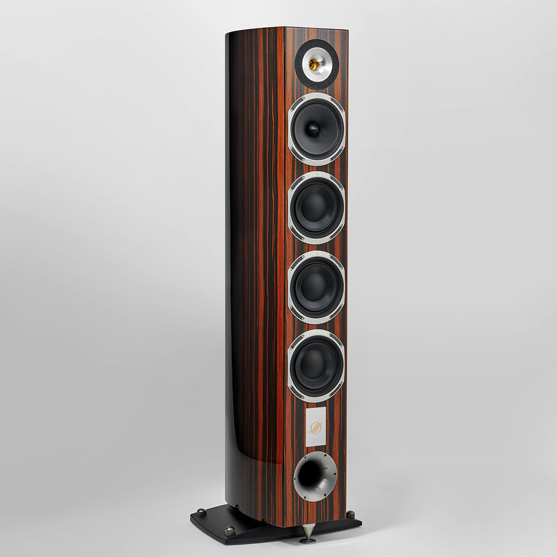 QUATUOR 40th ZEBRANO