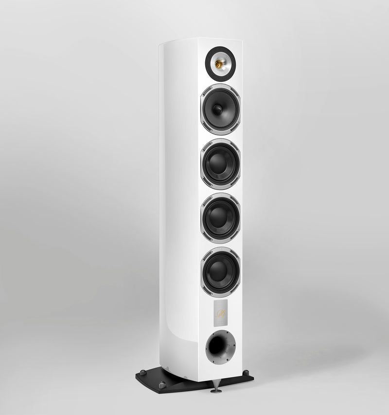 QUATUOR 40th WHITE