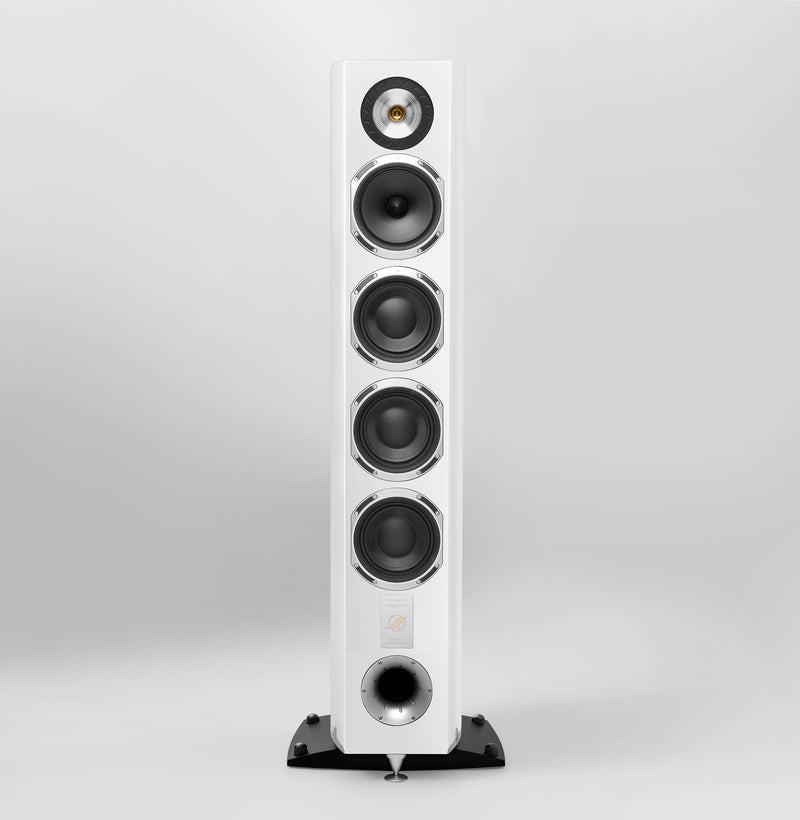 QUATUOR 40th WHITE