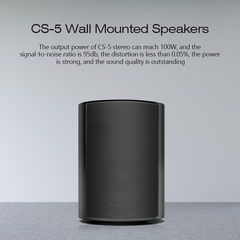 CS-5