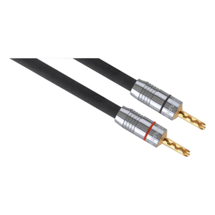 CASJ-8 INCHES