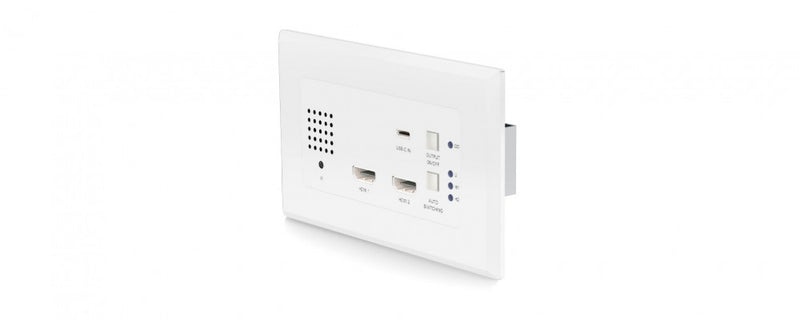 hex31wpw-tx