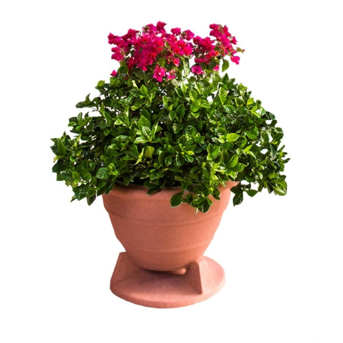 OMNIPLANTER 8.0