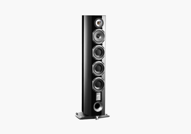 QUATUOR 40th BLACK