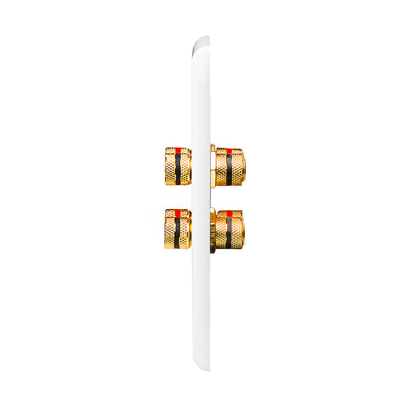 WP4