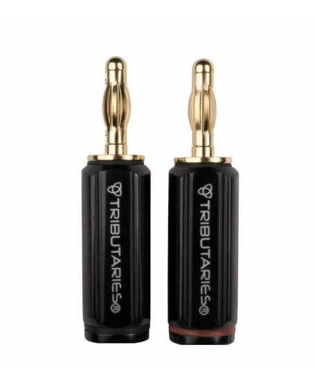 CON-4BP-1-PAIR-BAG
