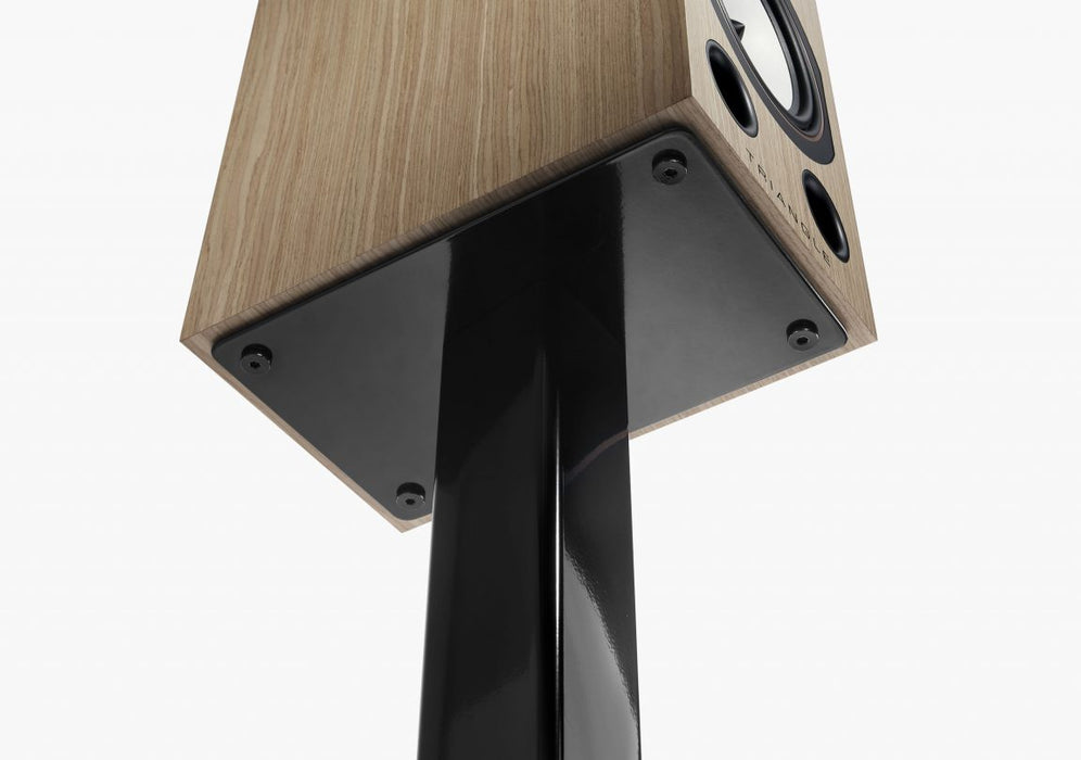 STAND S04 - 40th Anniversary