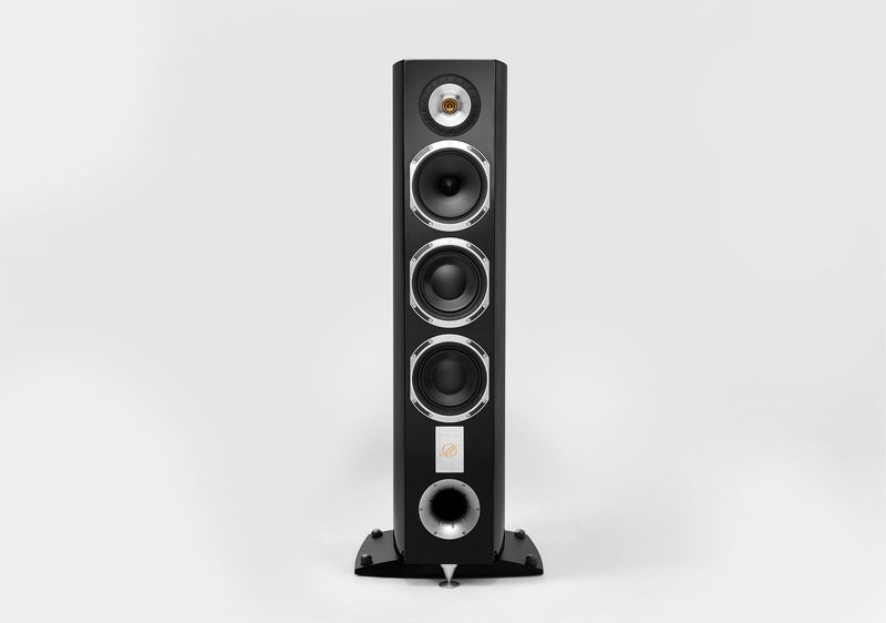 CELLO 40th BLACK