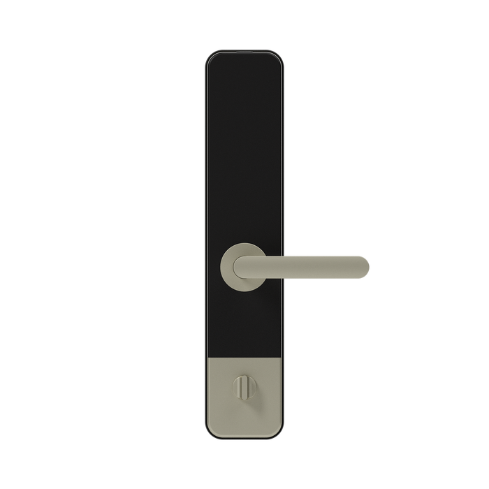 LS101GS(Smart Door Lock)