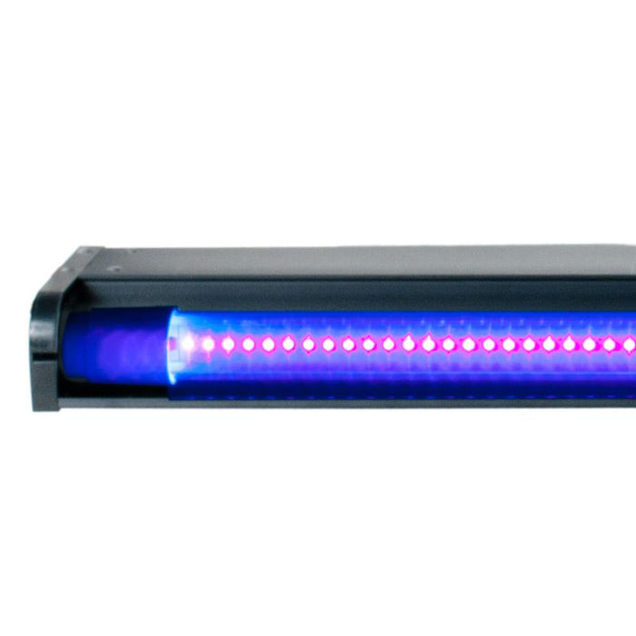 UV LED 48